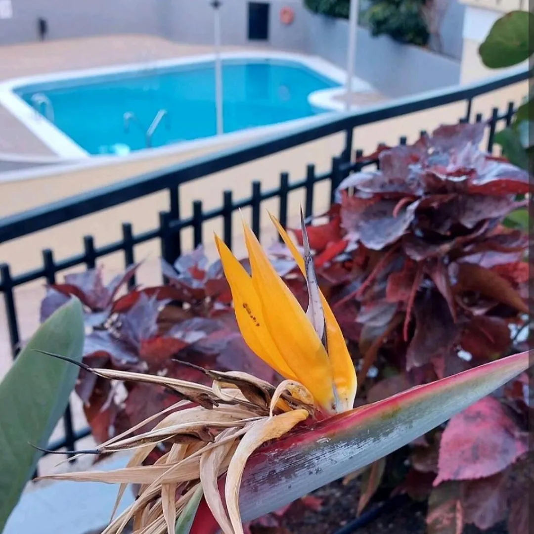 Balcon Atlantida Apartment Candelaria